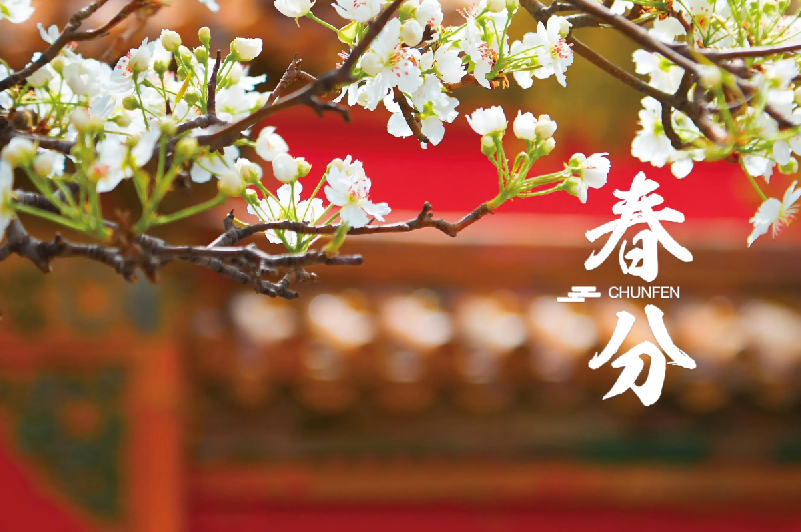 春分 | 春半日暖 昼夜平分，十首春半的诗词，带你览尽美好春光