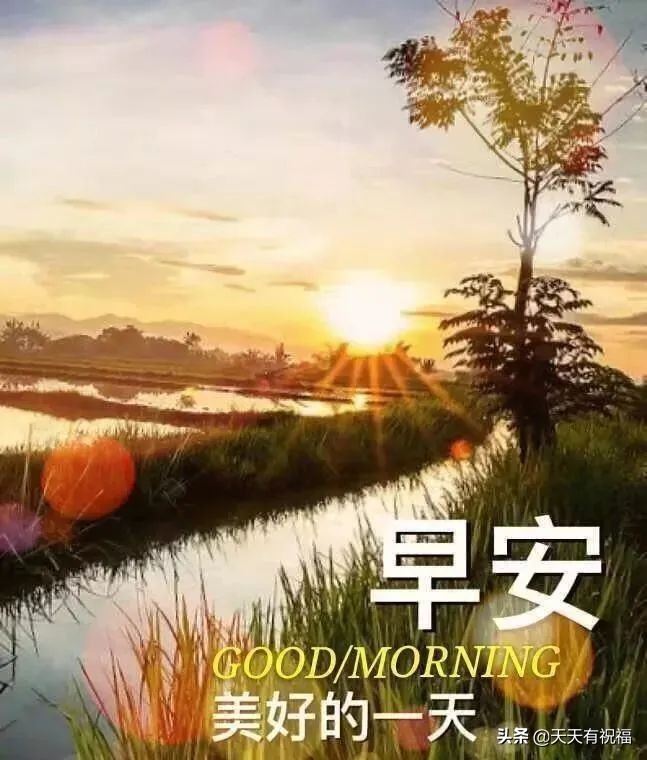 适合早安的句子唯美图库_晶羽文学网
