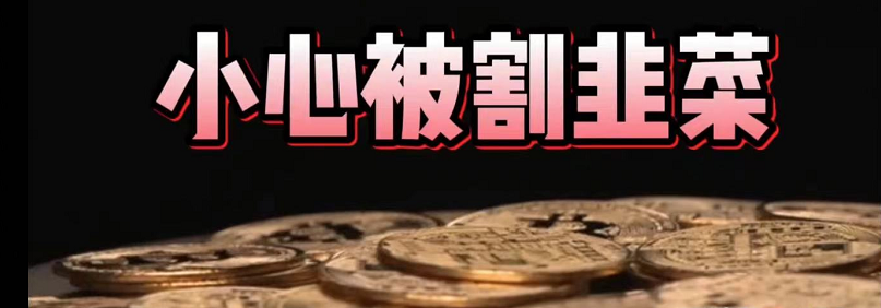 虚拟币概念普及、参与方式及风险