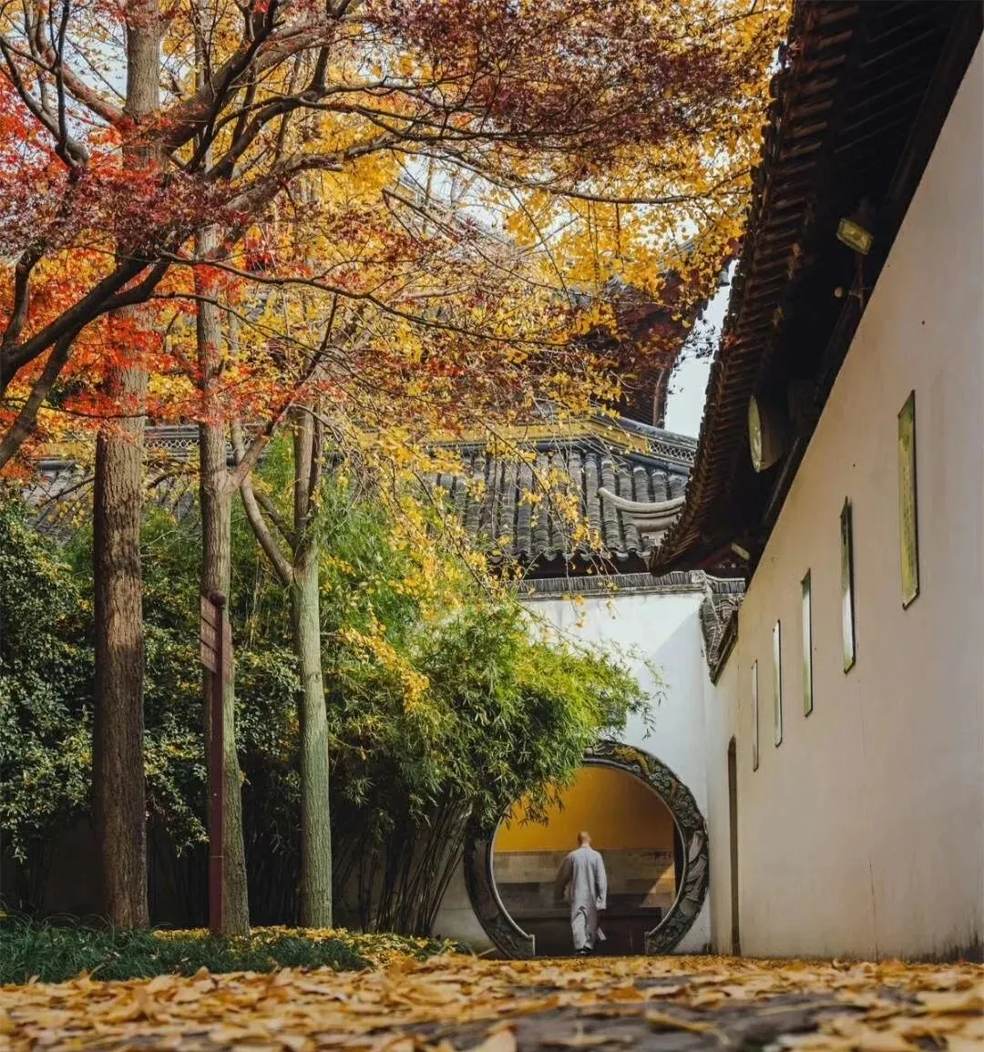 苏州园林特辑 | 待春暖花开之时，相约绝色江南，来一场寻梦之旅