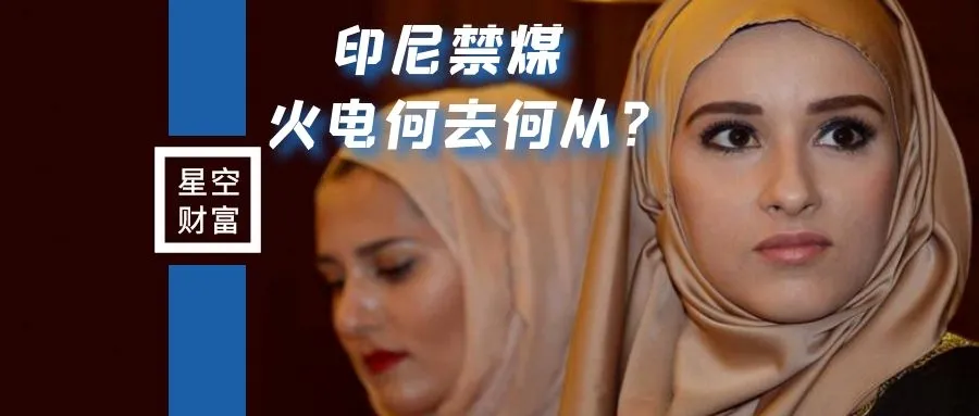 印尼中断煤炭出口，2022年火电企业还有春天吗？