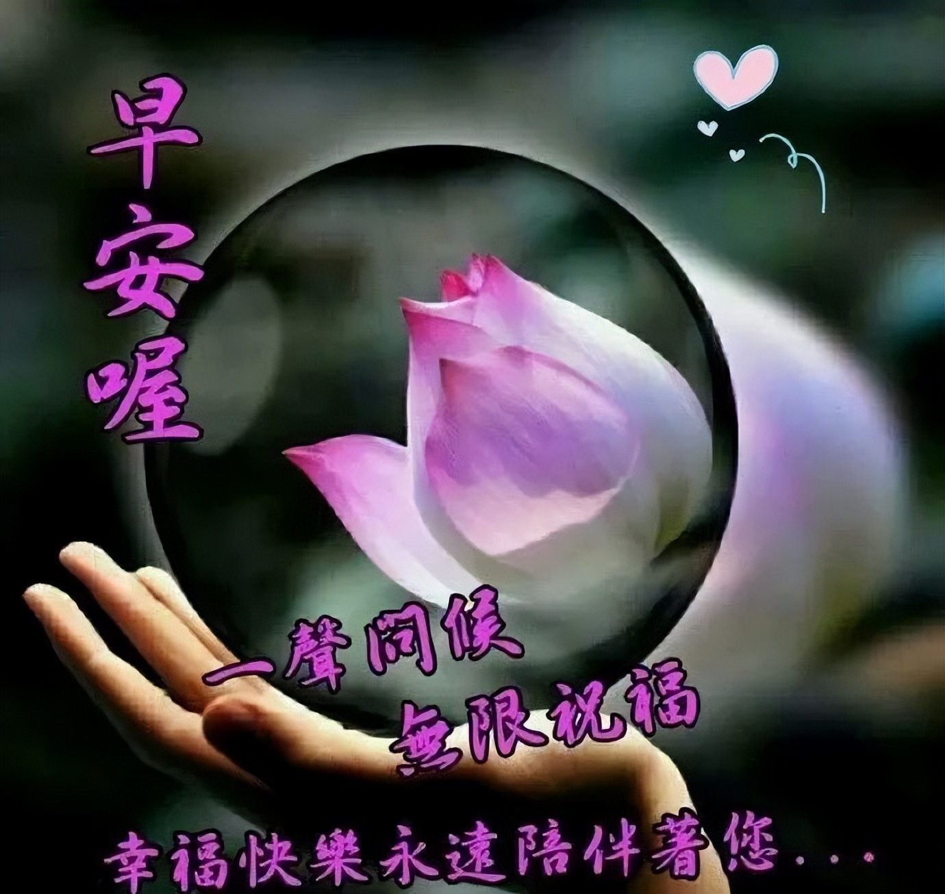 早上好图片带字 早上好问候动态表情图片 快乐活在当下 尽心就是完美图片