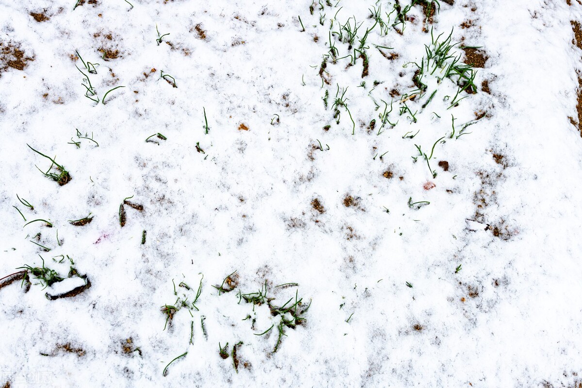 特大暴雪来袭，春运返程要注意，正月冷到啥时？农谚怎么说？
