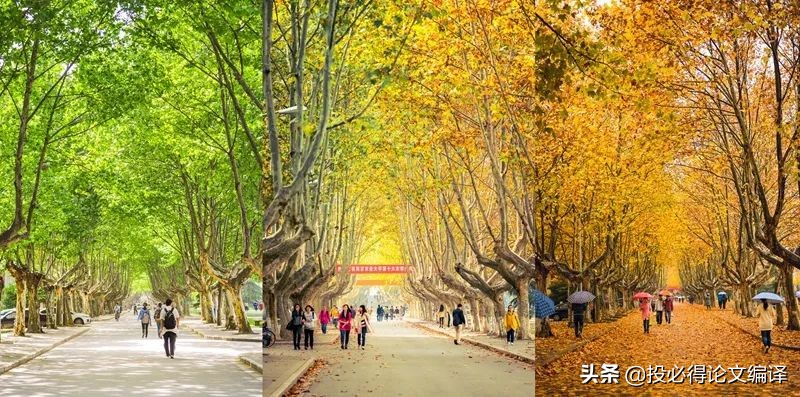 喜讯！又一篇中科院1区仅2个月发表，盘点国内高校主办的SCI期刊