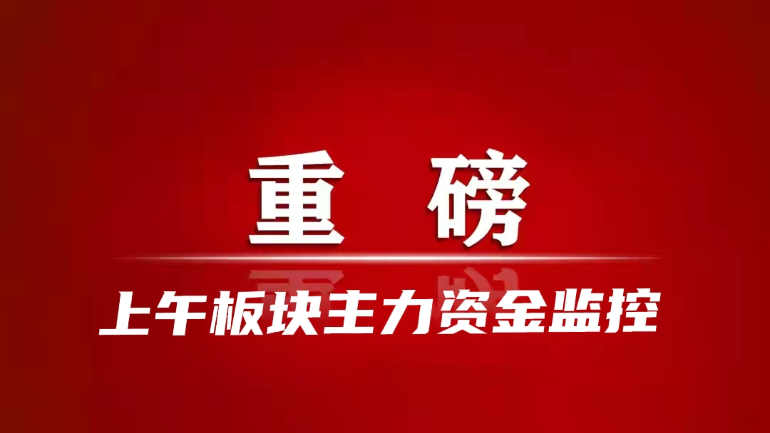 上午板块主力资金监控净流入前5