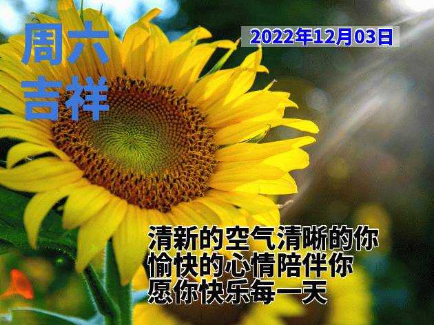 12月3日周六早安 清晨早上好表情包祝福语 祝你幸福永远、笑容灿烂图片