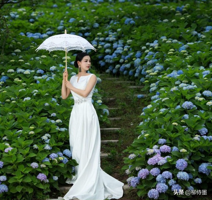 中年女性學(xué)起來，手機拍照掌握3個攝影技巧，瘦臉長腿輕松拍