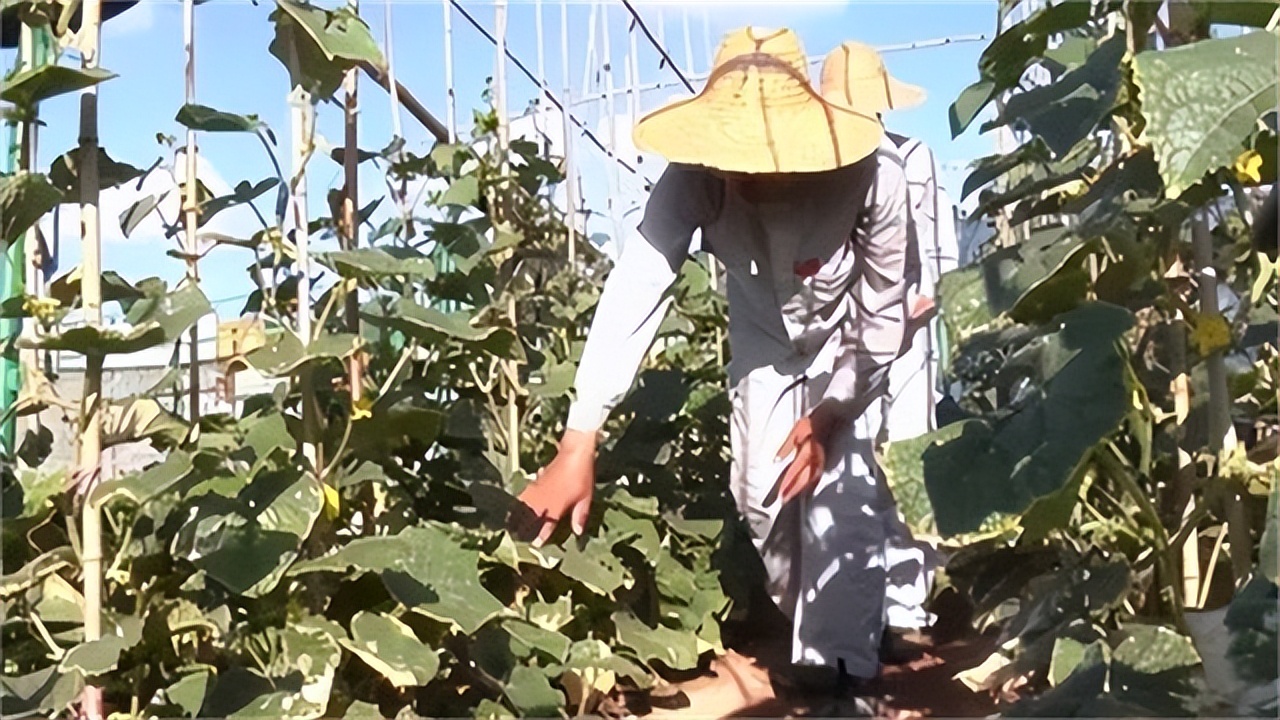 侱̽ɳڶ󵺣̻ʼȫϺҪ