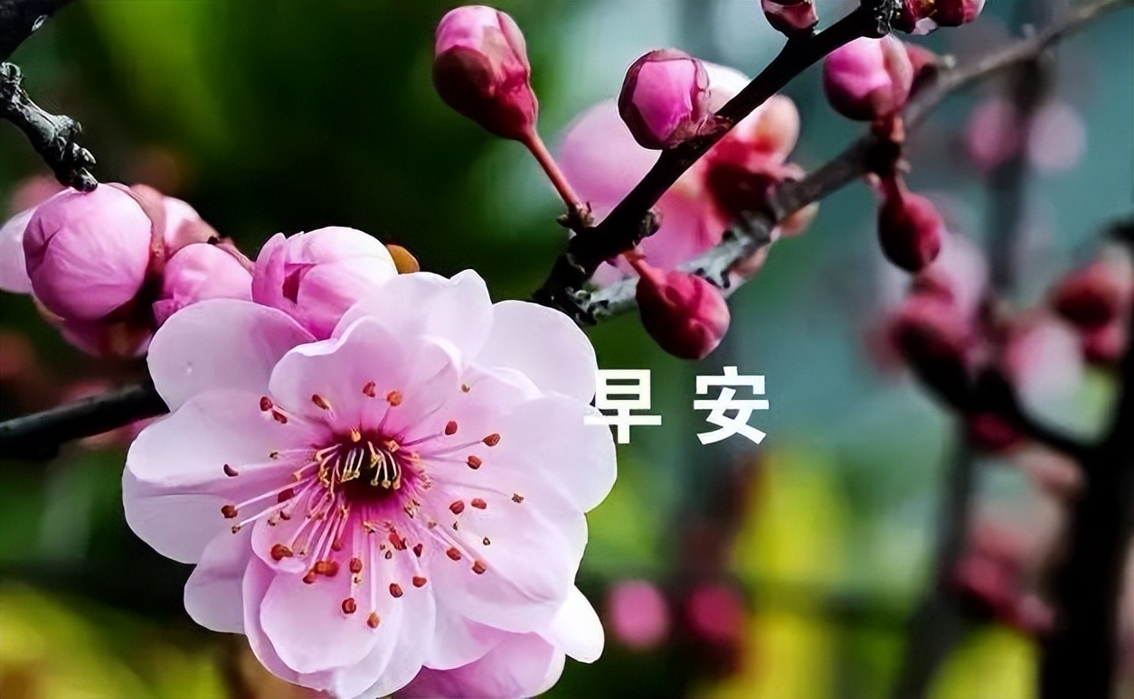 周末早上发好表情包问候语 早安幸福、开心自在图片