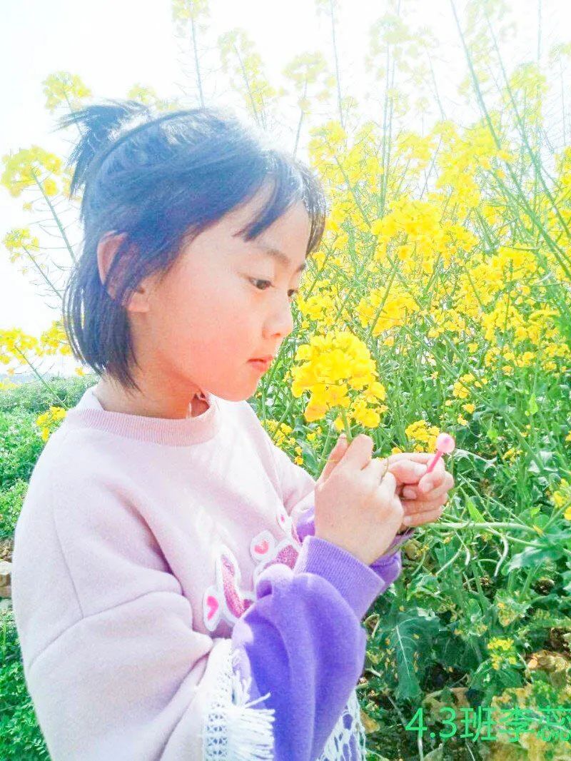 黄甲小学开展“人人参与科技节，我的科技节我做主”科技节活动