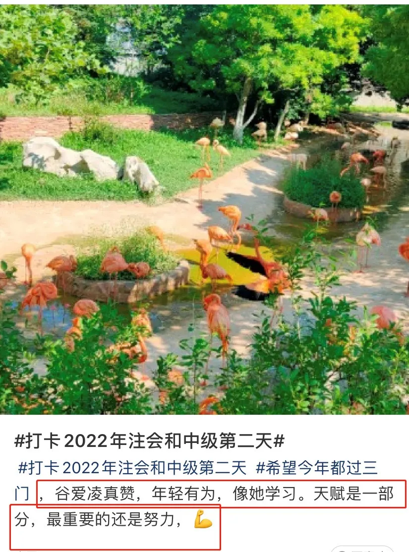 谷爱凌夺冠刷屏，看了她的简历，会计考生坐不住了…