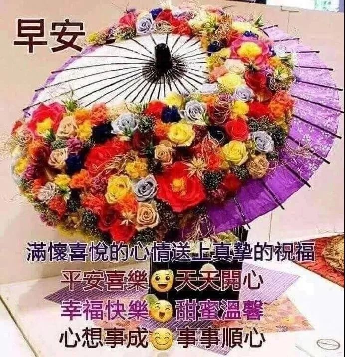 漂亮好看的早上好问候语 舒展美丽的微笑，拥抱愉悦的一天图片