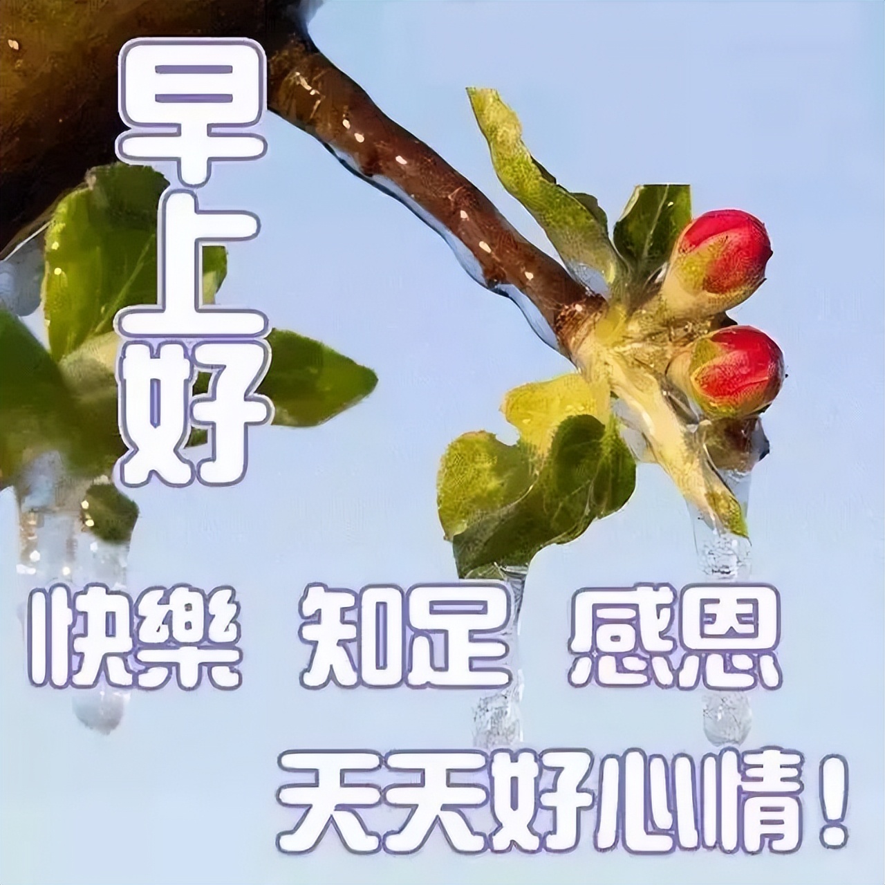 早上好问候语正能量早安心语简短句子 你所付出的总会收获些什么图片