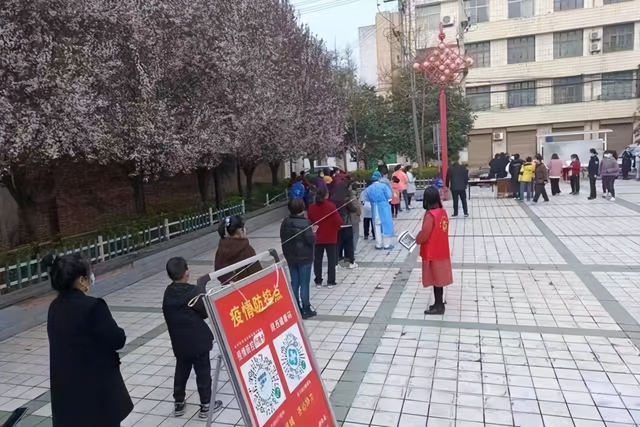 基层书记赵小丽 抗疫情 勇担当