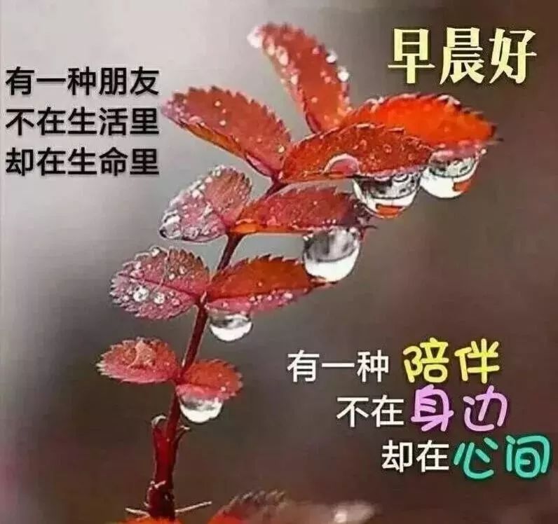 周六最新早安问候祝福图片温馨带字 给你道声早安，祝你心情愉快图片