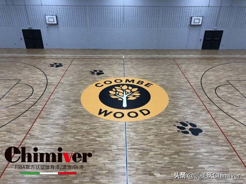 nba篮球场为什么有队标(NBA球队logo设计理念)