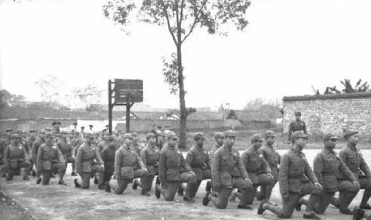 十万学生十万军，西南联大抗日记：不止有知识，更有热血豪情