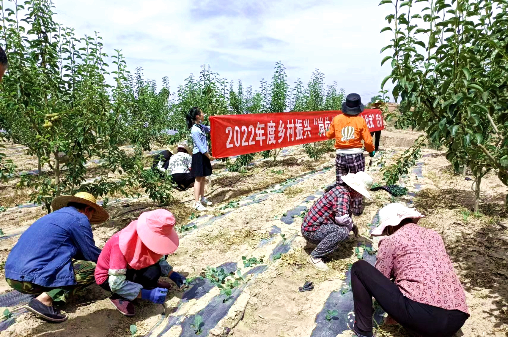 强化党建引领 助力乡村振兴
