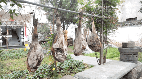 臭桂魚的做法,正宗臭桂魚的烹飪方法
