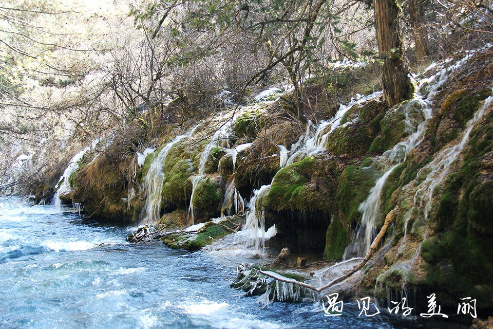 如果一生只去一次九寨沟，如何游玩才能不留遗憾？超详细游记攻略