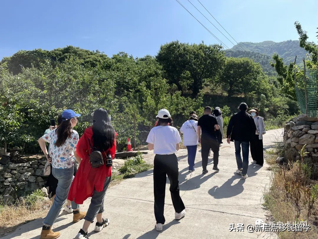 初夏限定丨新启点南部山区团建活动