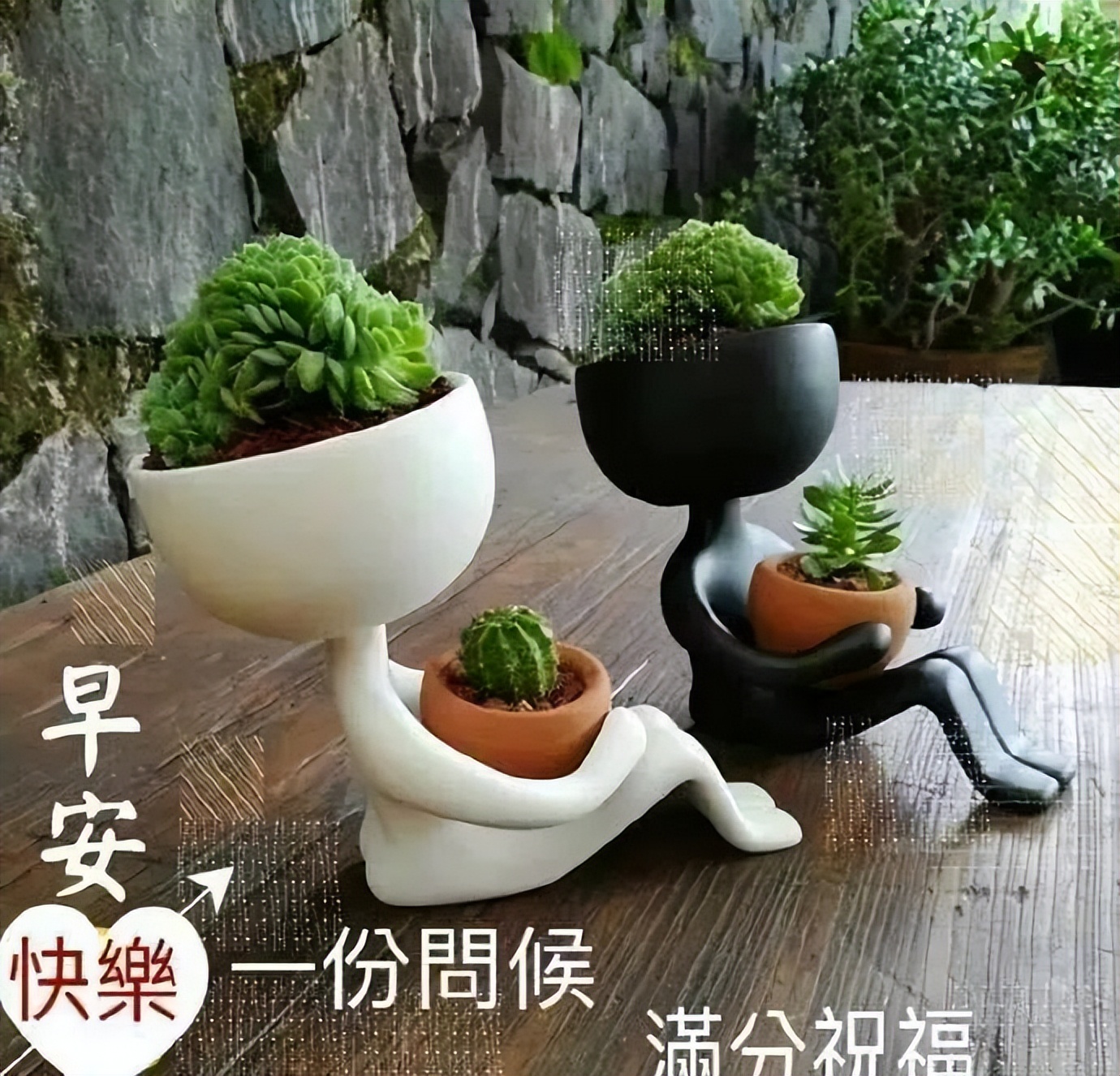 朋友圈早上好祝福语，句句贴心，温暖真诚，新的一天快乐如意图片