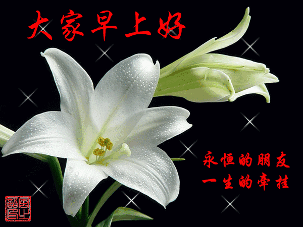 创意早晨早上好图片带祝福语大全 快乐好心情、天天乐呵呵图片