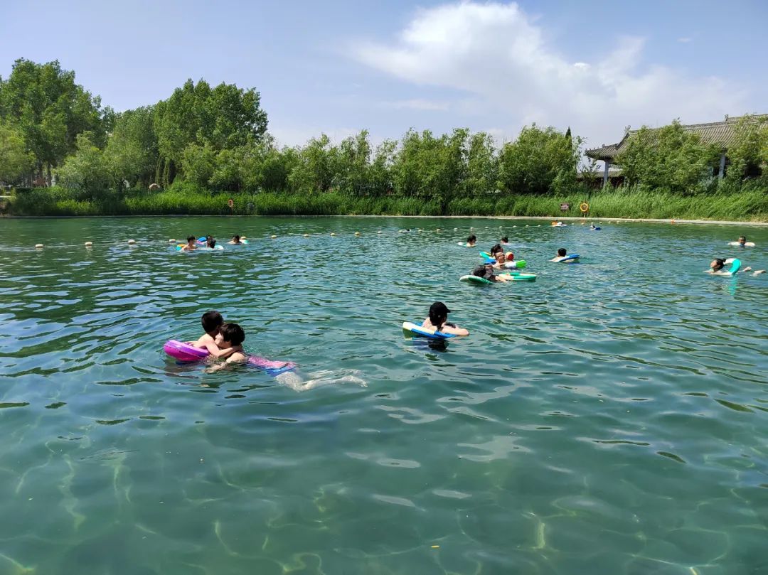 看這里,！夏日在洽川濕地的N種打開方式