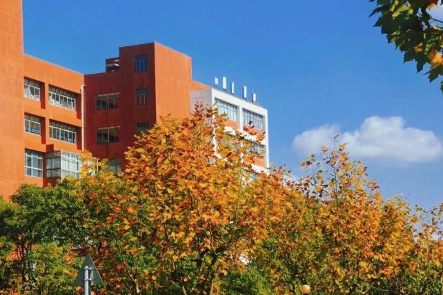 上海全能女学霸：“双一流”硕博连读，成果屡登国际顶刊，都是第一作者！