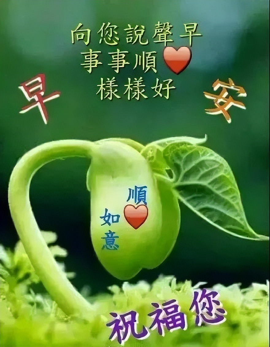 早上好问候语正能量早安心语简短句子 你所付出的总会收获些什么图片