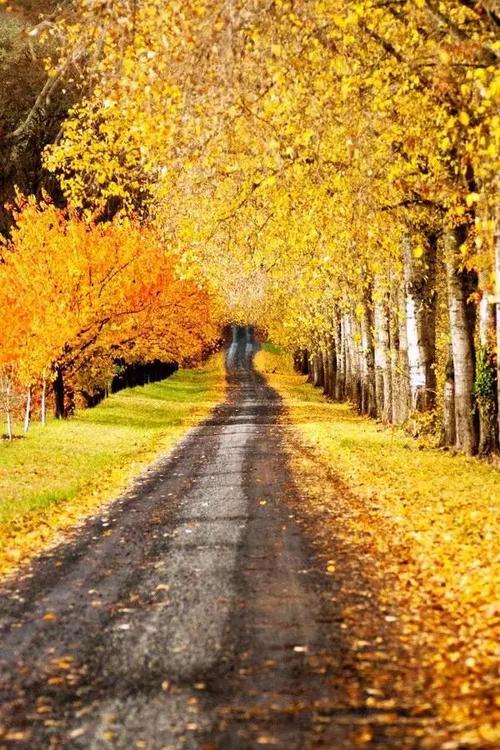 散文：人生就是一场悲欢离合