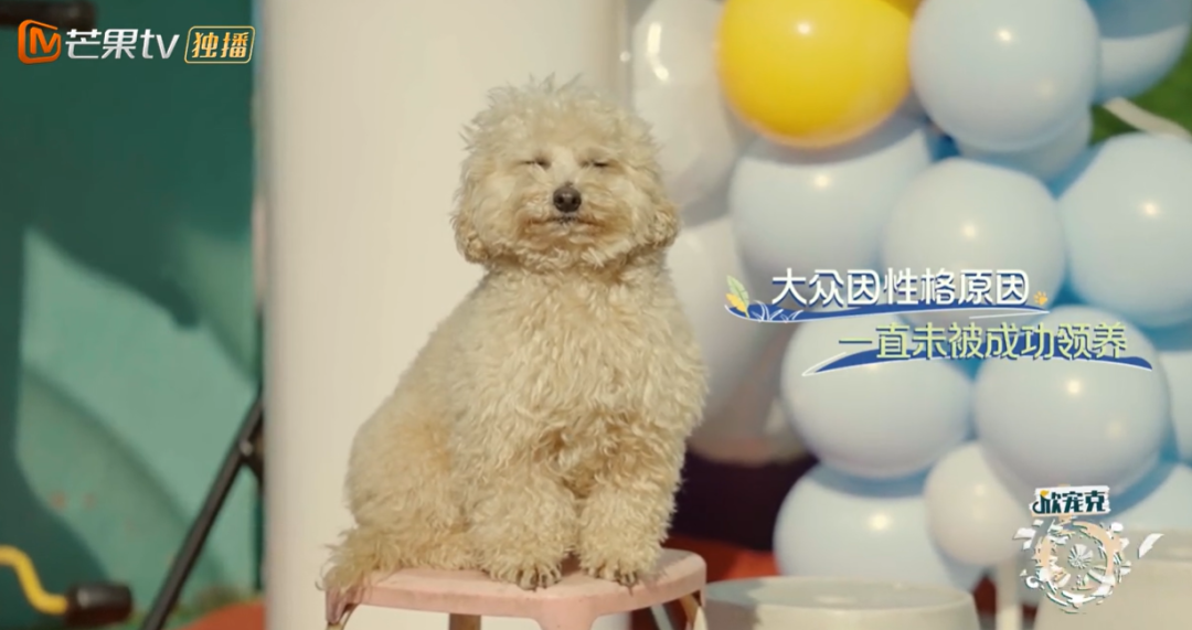 10分钟看哭7次！当他们不再“有用”的时候，却也无法正常生活