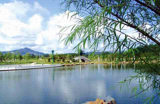 济宁医学院2022年招聘高层次人才及青年博士公告