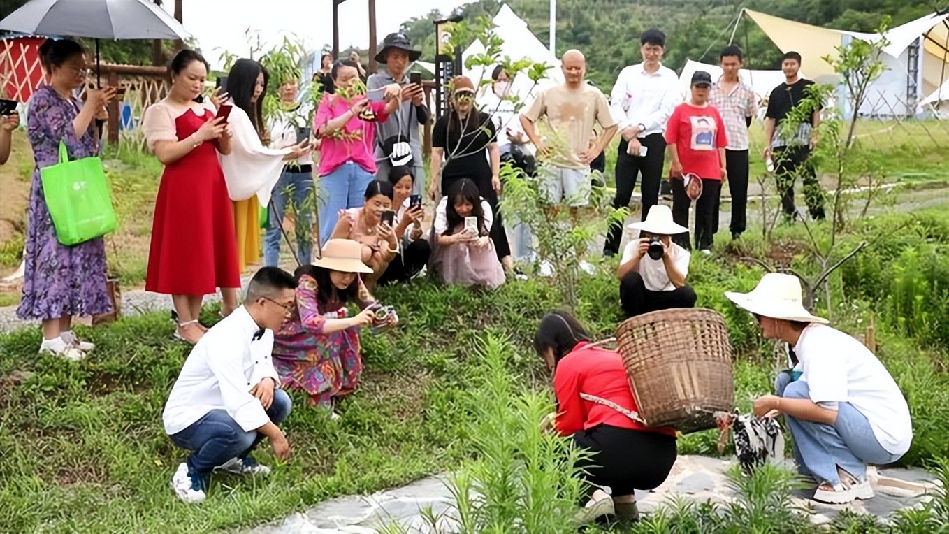 辛巴618携辛选助力用户与商家双赢，庐江：举办助农直播带货大赛