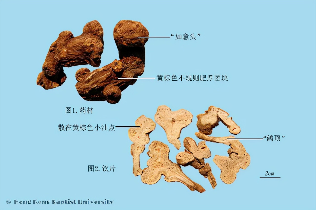 玉屏风颗粒——只含三味药，却有大作用