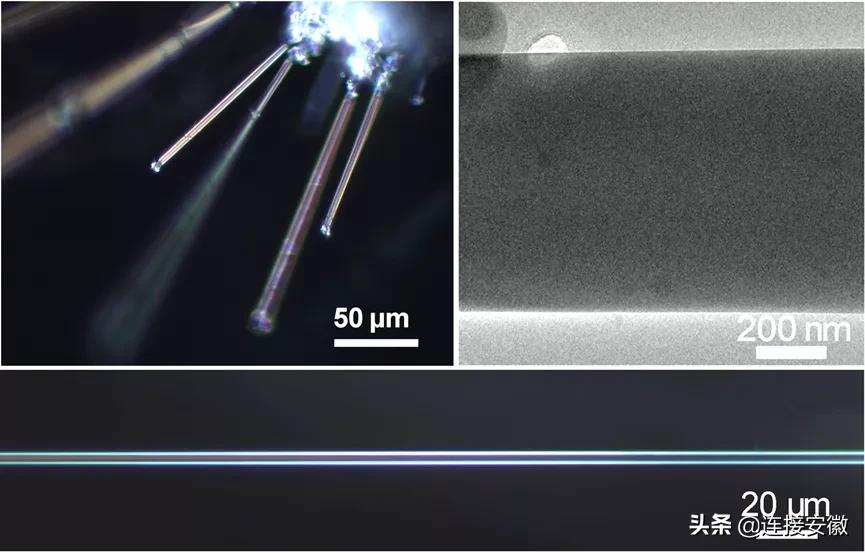 今年中国科技10项重大突破，4项在合肥