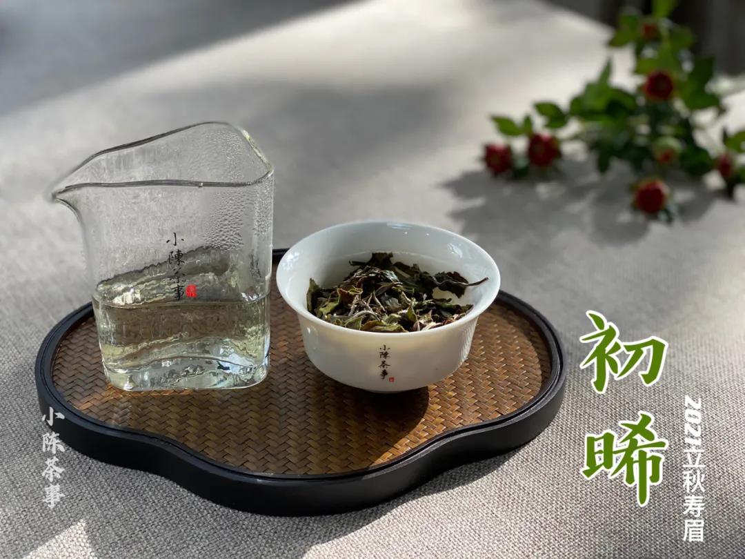 洗茶是浪费，还是衛生？老茶客搬出4个实例，好坏一次性说清