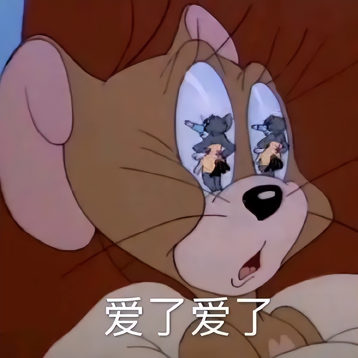 寿险的家庭保险清单推荐(寿险的家庭保险清单推荐怎么写)