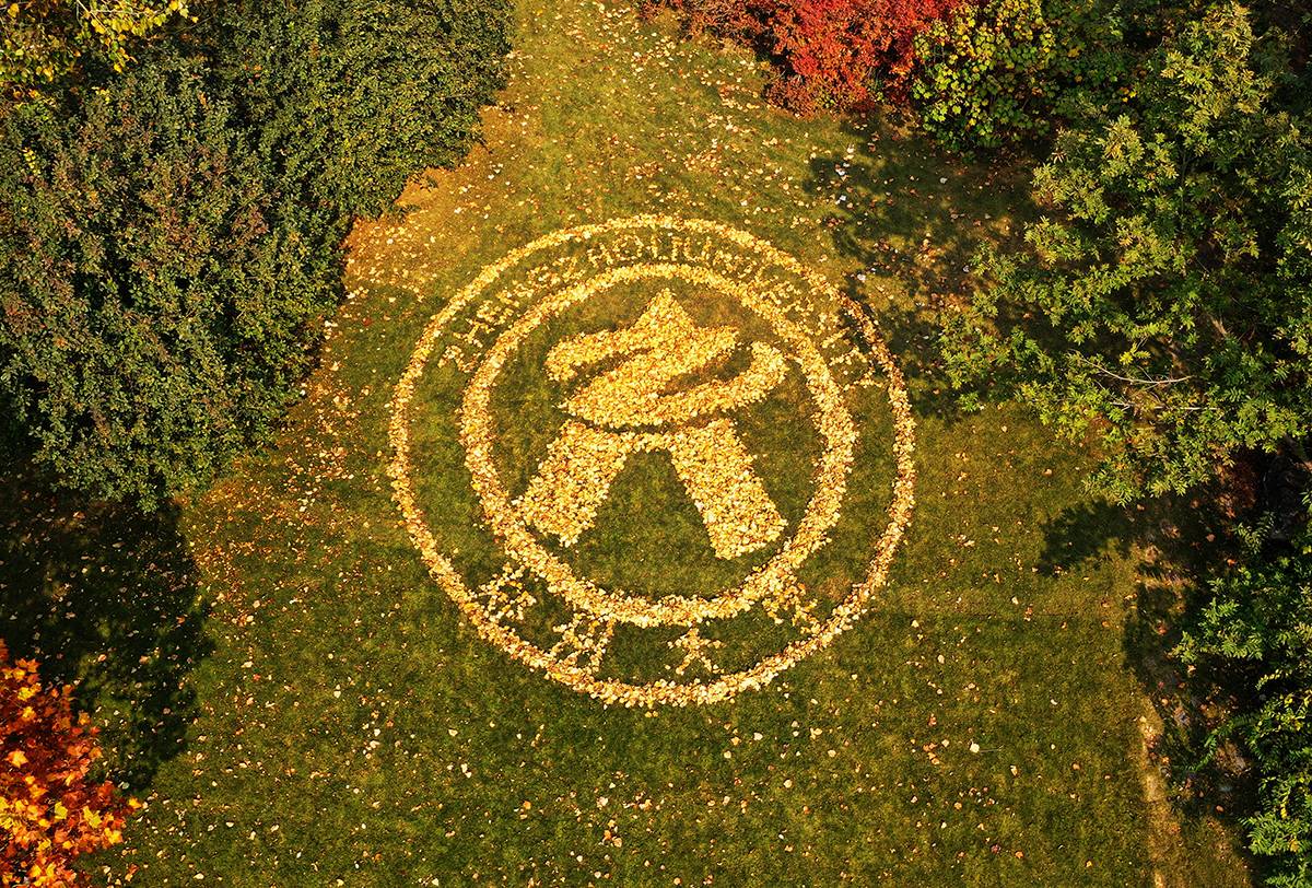 必看！一波权威专业“排名”来袭，这些专业薪资、满意度“双高”！