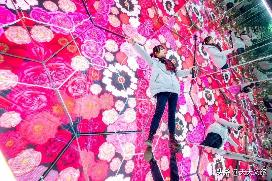 2022年洛阳牡丹花会打卡新地标牡丹博物馆