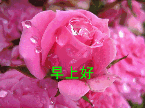 星期一朋友圈的早安正能量动态图片 宅在家里不出门 少给国家添麻烦图片