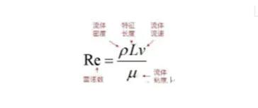 微小生物的运动姿态取决于“雷诺数”——颠覆你的认知