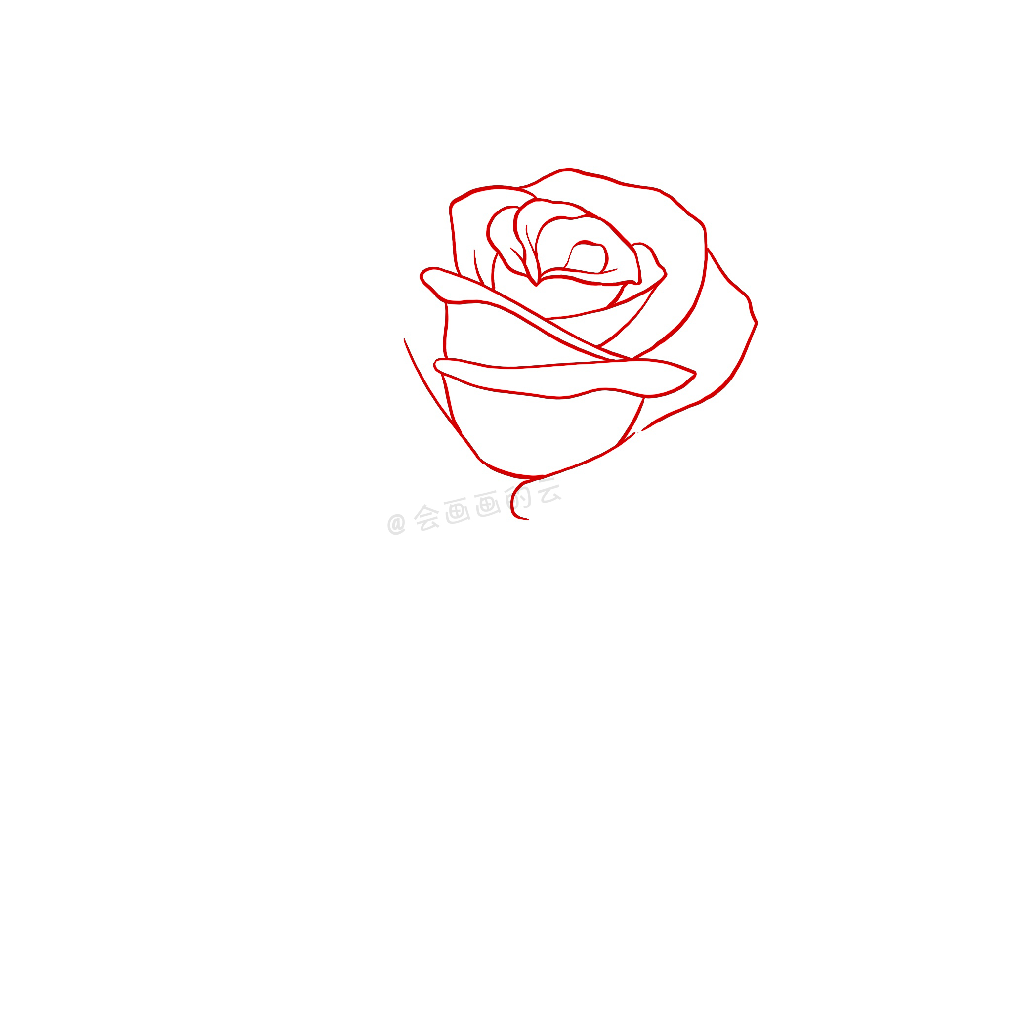 画玫瑰花的简笔画（超简单玫瑰花简笔画教程分享）