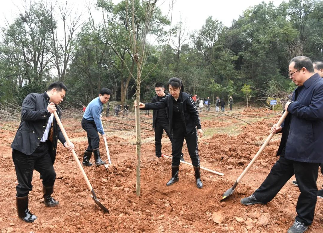创国家森林城市 建怀化绿色家园 黎春秋王建球李万千印宇鹰等参加义务植树活动