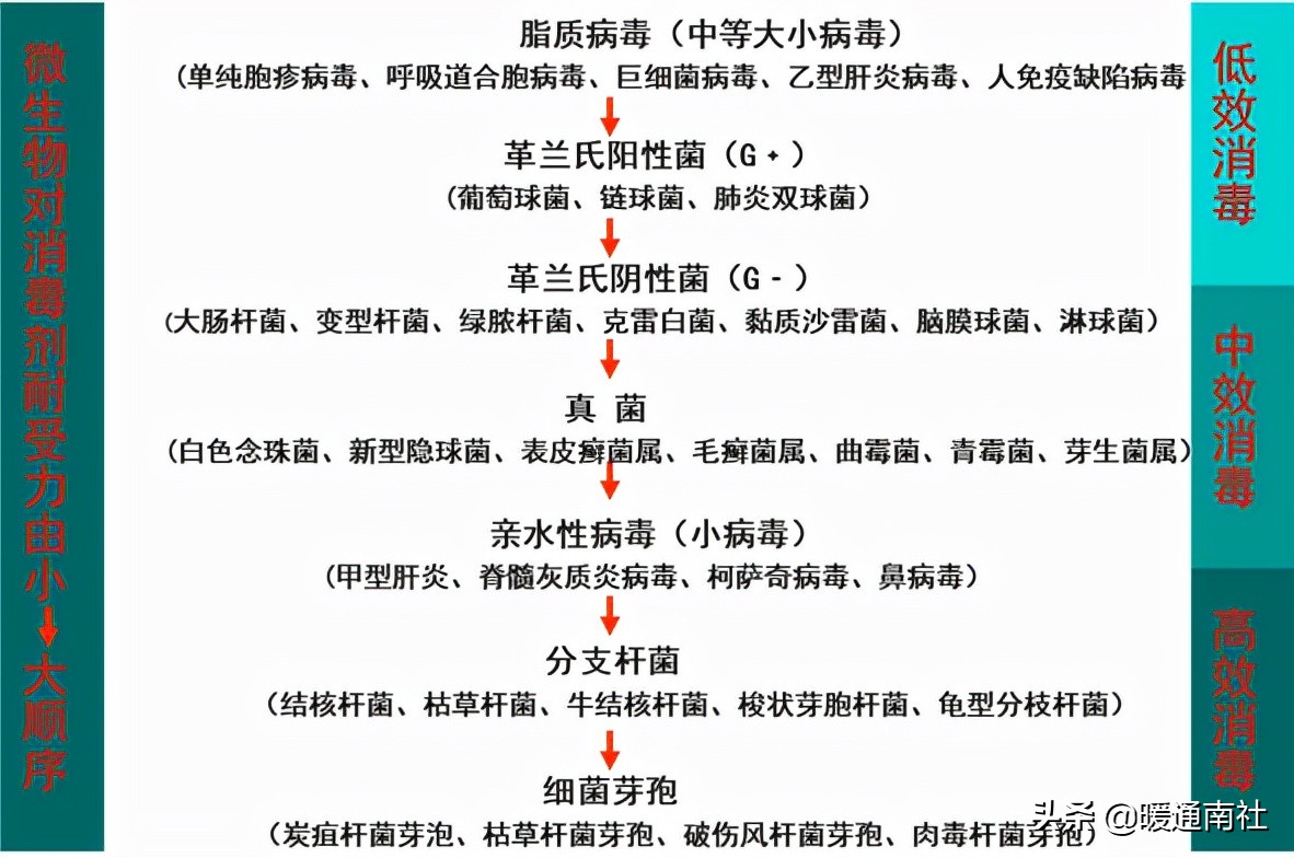 乌鲁木齐除甲醛公司多少钱便宜15
