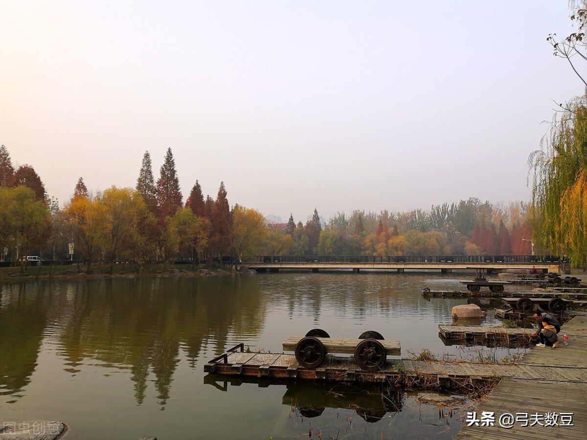 河南会计专业哪家强？权威数据来帮忙