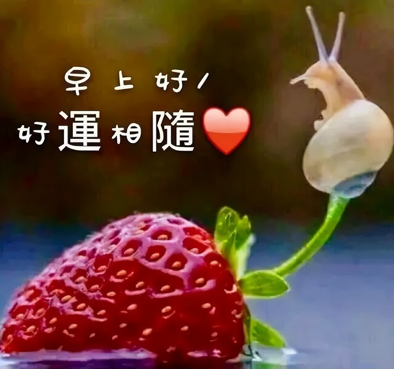 最新早上好微信祝福语录 最新微信短信问候祝福语 行善得福气图片