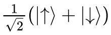 如何科学地理解平行世界？——量子力学的多世界诠释