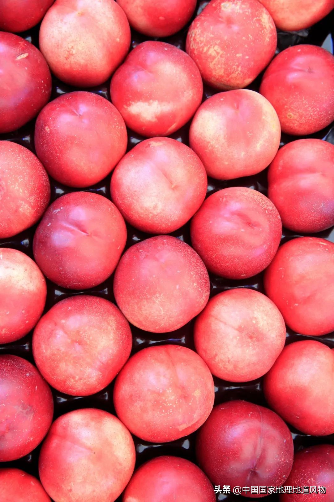 中国究竟哪里的桃桃桃桃最好吃？