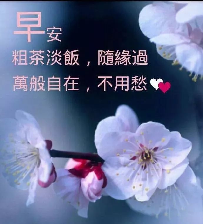 今日更新早上好祝福图片 祝福早上好的表情图片 知足常乐、随遇则安图片